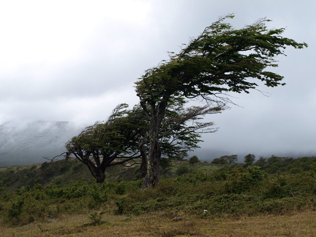 ../../Pictures/231209/099 am Beagelkanal.JPG